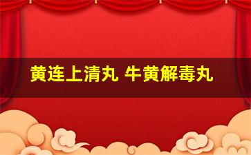 黄连上清丸 牛黄解毒丸